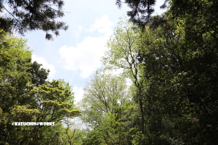 2019/05/05 ~下石の滝 01