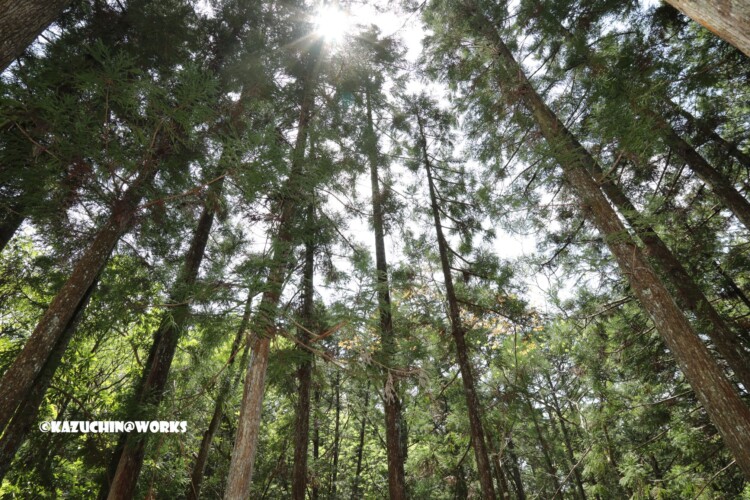 2019/05/05 ~下石の滝 04