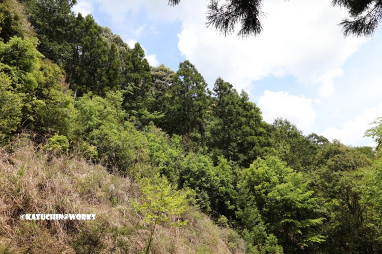 2019/05/05 ~下石の滝 07