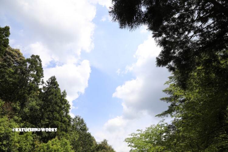 2019/05/05 ~下石の滝 08