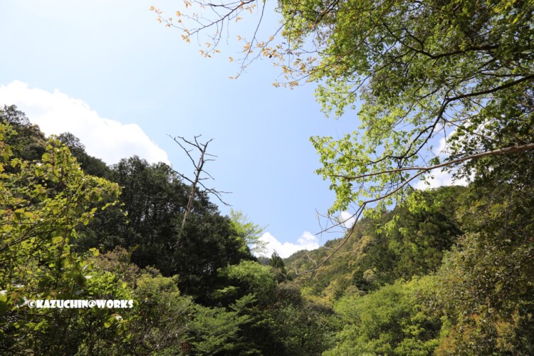 2019/05/05 ~下石の滝 09