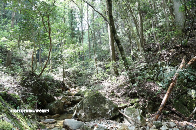 2019/05/05 ~下石の滝 13