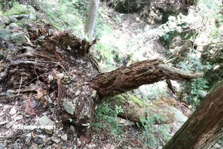 2019/05/05 ~下石の滝 15