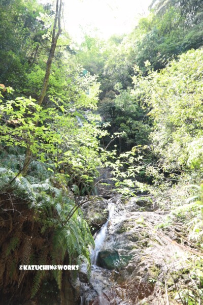 2019/05/05 下石の滝 01