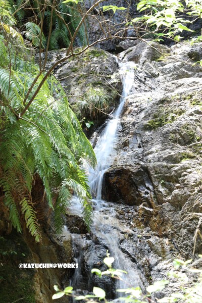 2019/05/05 下石の滝 02