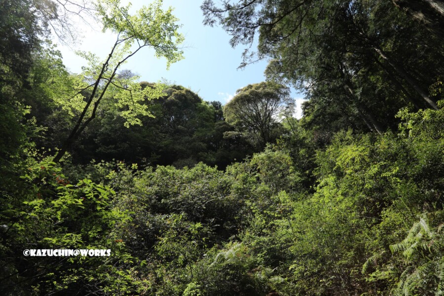 2019/05/05 下石の滝 05