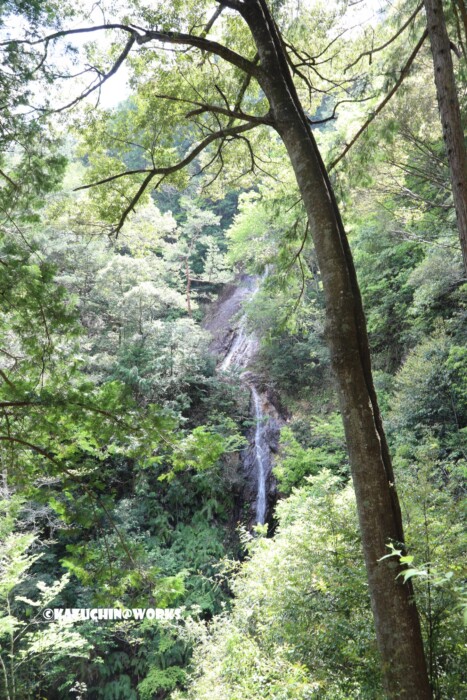 2019/05/05 下石の滝 09