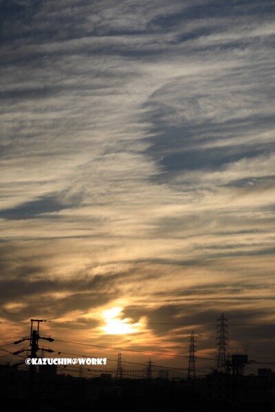 2019/05/22 ご近所朝日 縦