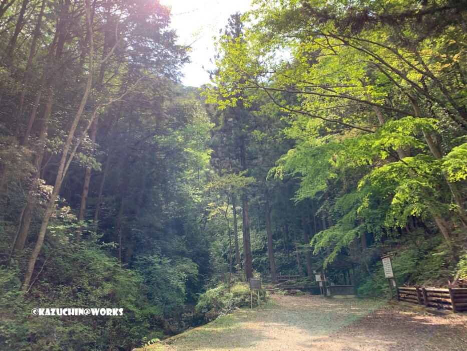 2019/05/04(土) 愛知県民の森 山登り01 2019/05/04(土) 愛知県民の森 山登り01