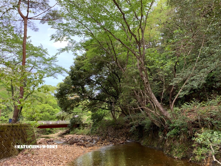 2019/05/04(土) 愛知県民の森 山登り02 2019/05/04(土) 愛知県民の森 山登り02