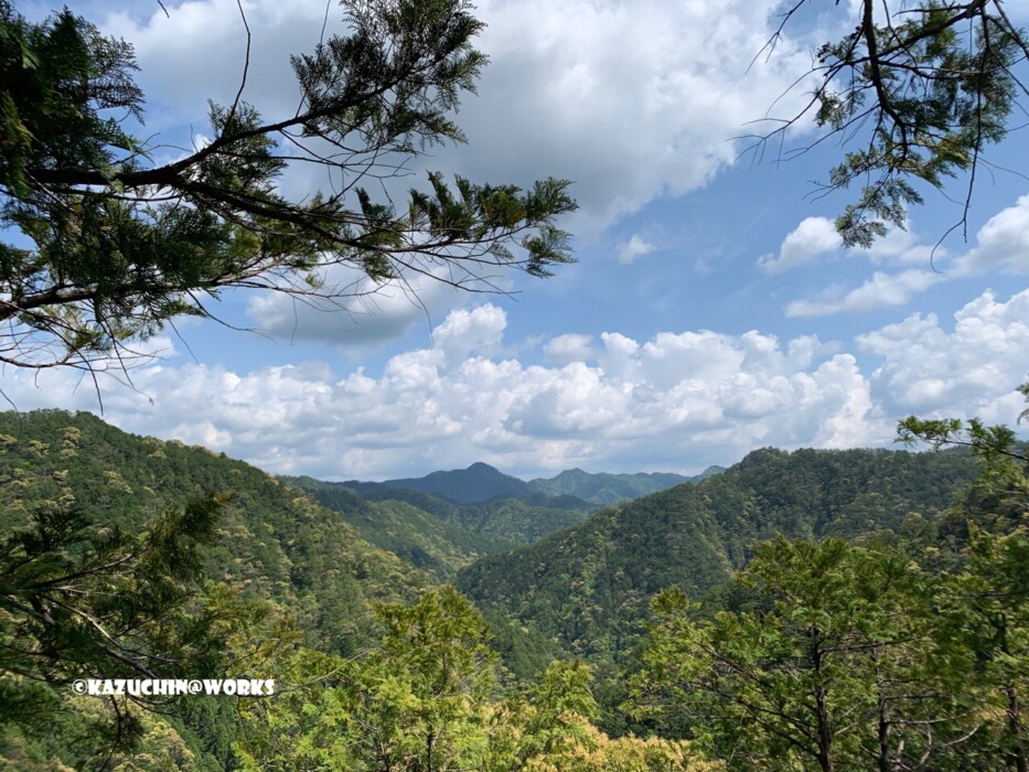 2019/05/04(土) 愛知県民の森 山登り02 2019/05/04(土) 愛知県民の森 山登り02