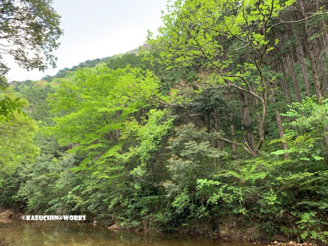 2019/05/04(土) 愛知県民の森 到着直後の風景 2019/05/04(土) 愛知県民の森 到着直後の風景
