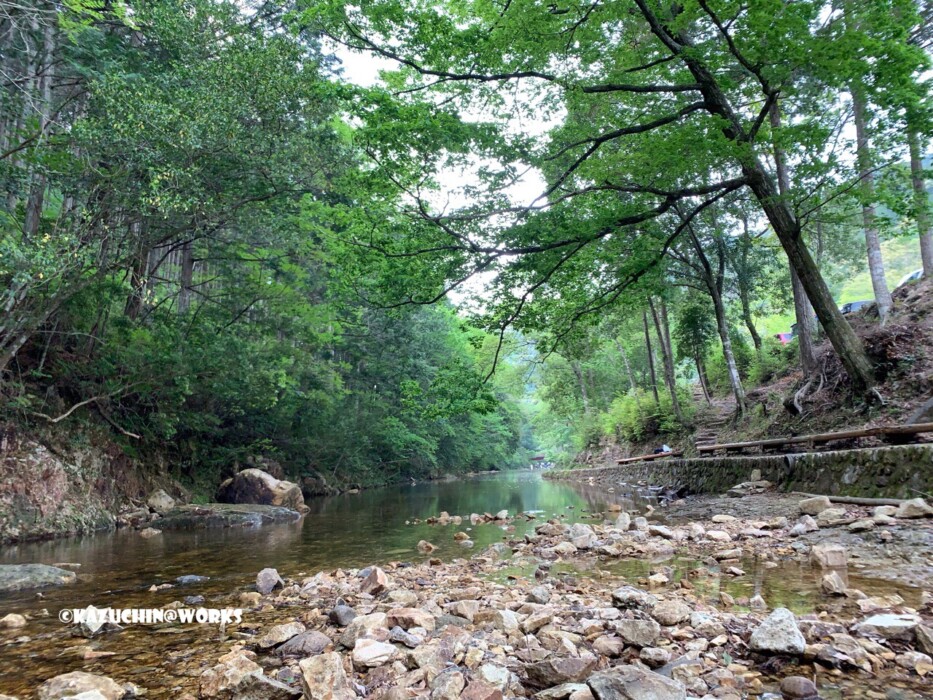 2019/05/04(土) 愛知県民の森 宇連川支流 2019/05/04(土) 愛知県民の森 宇連川支流