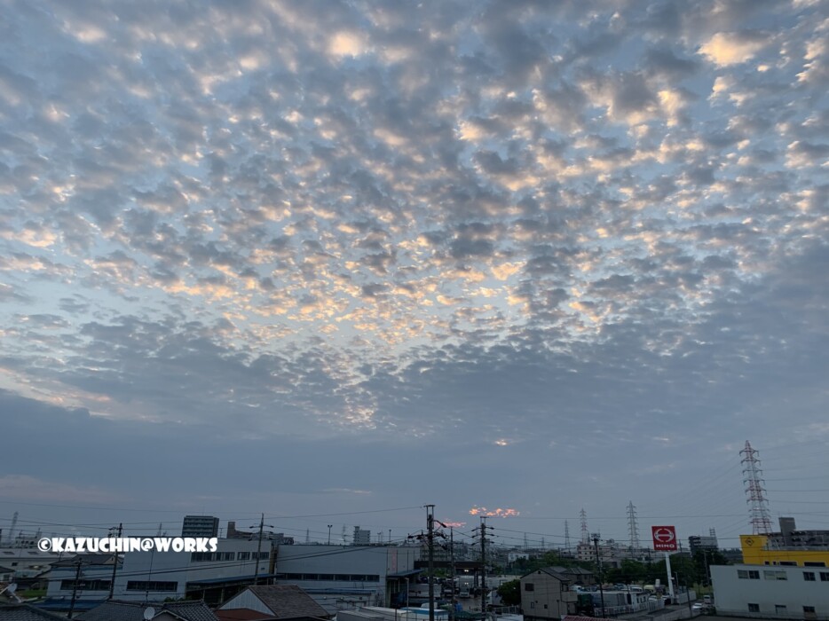 2019/06/22 ご近所の朝