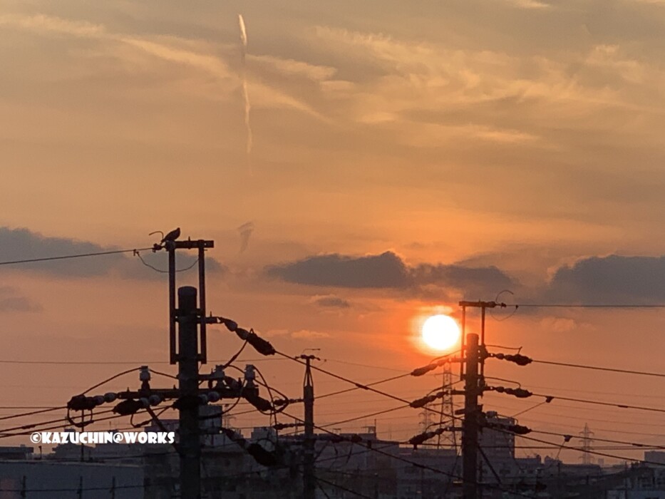 2019/06/26 ご近所朝日 03