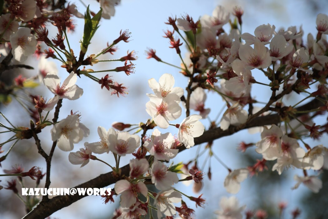 こんなときだから... 001