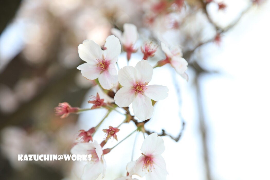 こんなときだから... 002