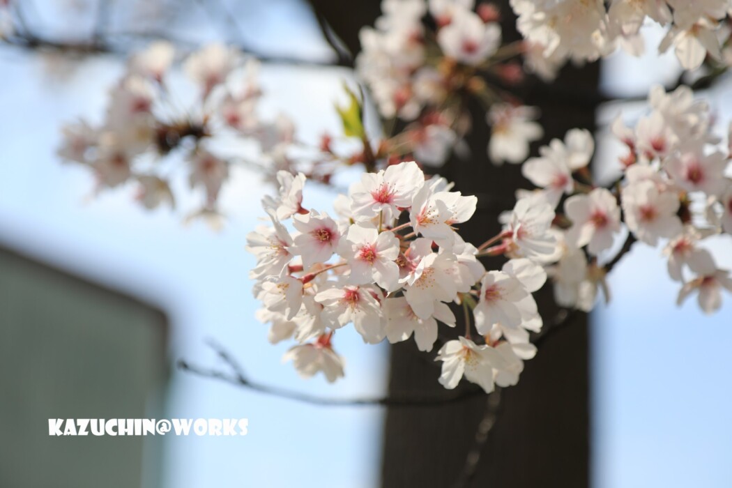 こんなときだから... 004