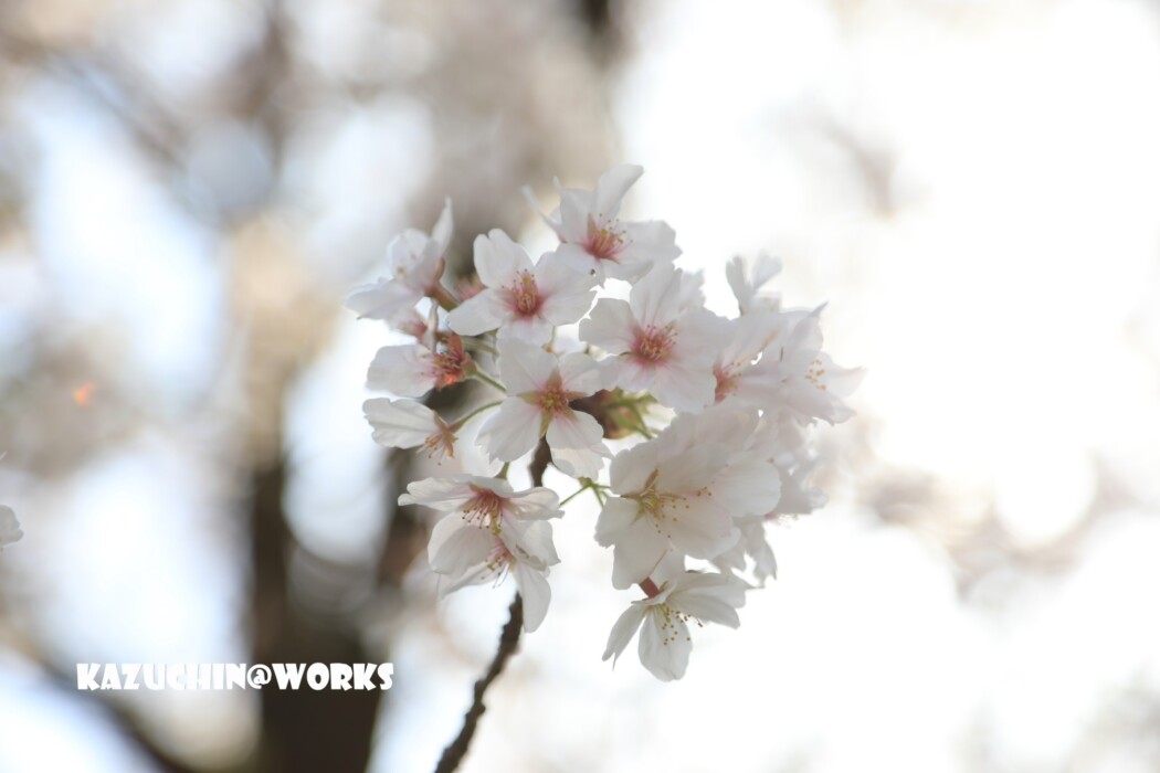 こんなときだから... 005