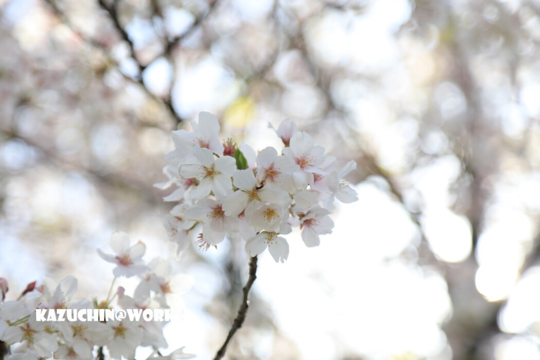 こんなときだから... 006