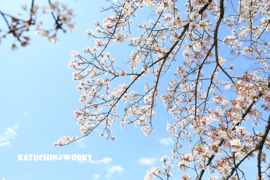 こんなときだから... 009