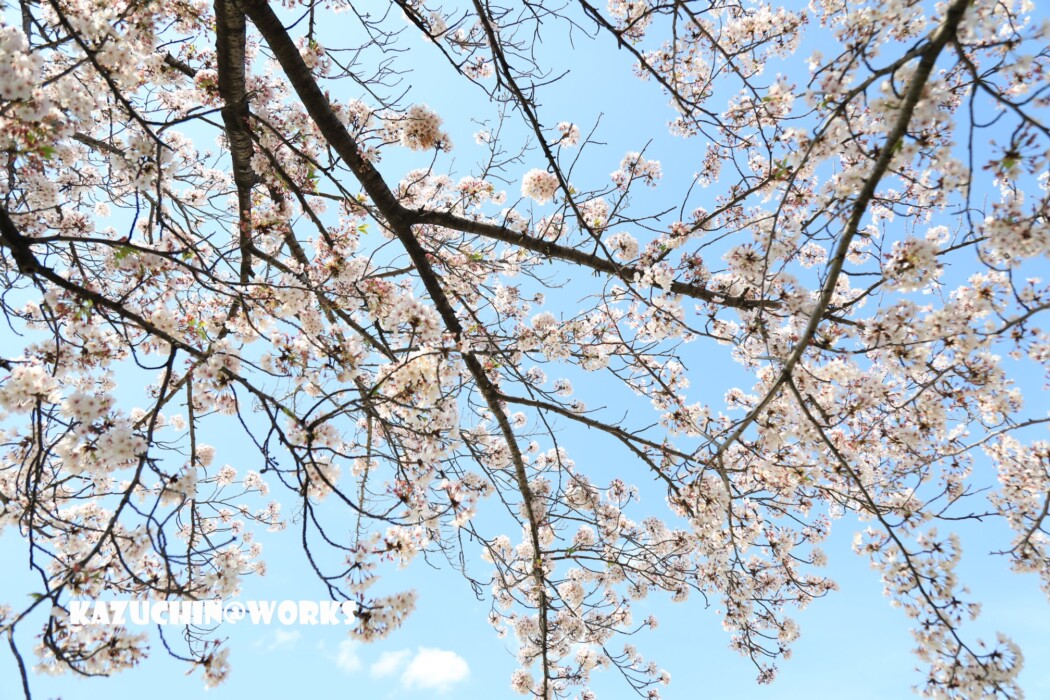 こんなときだから... 010