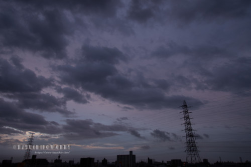 2020年07月01日の朝(梅雨中) その01 2020年07月01日の朝(梅雨中) その01