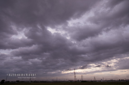 2020年07月01日の朝(梅雨中) その02 2020年07月01日の朝(梅雨中) その02
