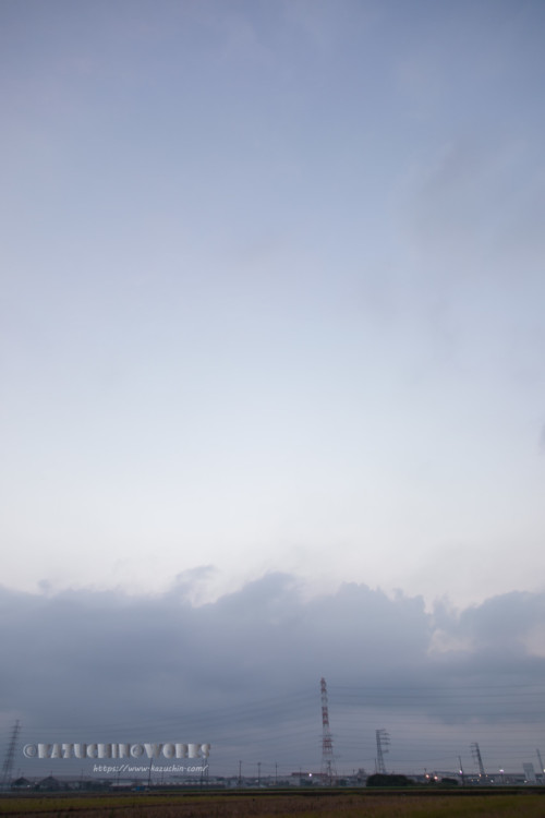 2020年08月02日の朝 その19 2020年08月02日の朝 その19