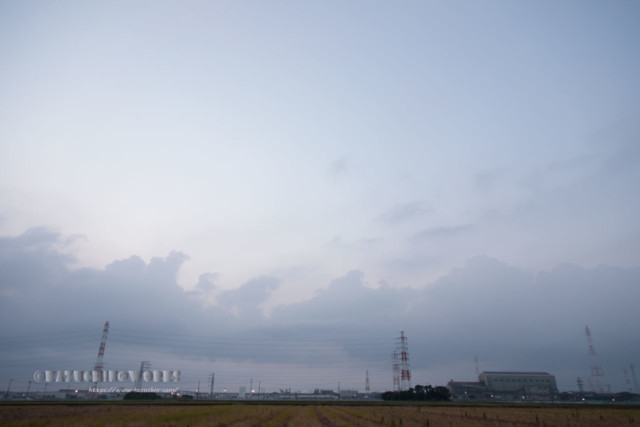 2020年08月02日の朝 その03 2020年08月02日の朝 その03