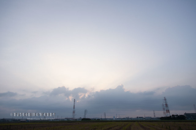 2020年08月02日の朝 その06 2020年08月02日の朝 その06