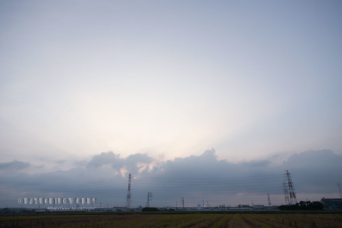 2020年08月02日の朝 その06 2020年08月02日の朝 その06