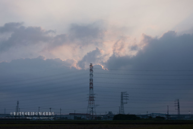 2020年08月02日の朝 その07 2020年08月02日の朝 その07