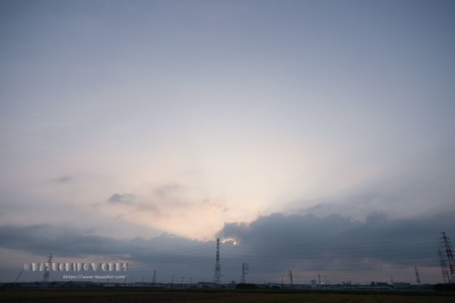 2020年08月02日の朝 その10 2020年08月02日の朝 その10