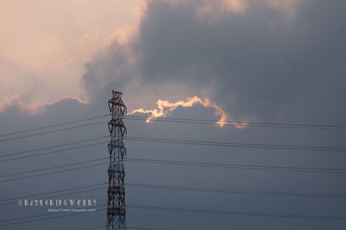 2020年08月02日の朝 その11 2020年08月02日の朝 その11