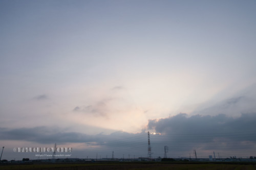 2020年08月02日の朝 その12 2020年08月02日の朝 その12