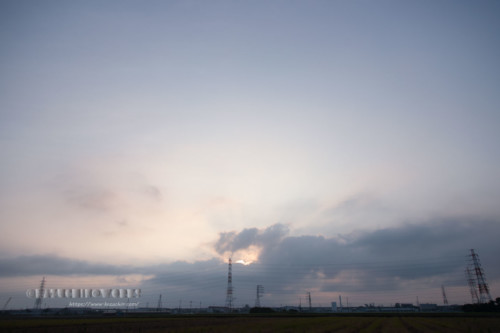 2020年08月02日の朝 その13 2020年08月02日の朝 その13