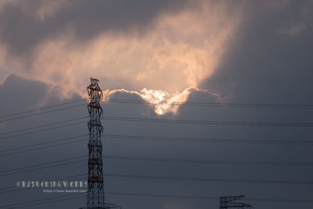 2020年08月02日の朝 その14 2020年08月02日の朝 その14