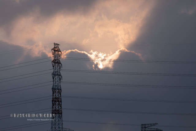 2020年08月02日の朝 その15 2020年08月02日の朝 その15