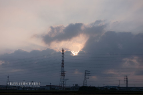 2020年08月02日の朝 その16 2020年08月02日の朝 その16