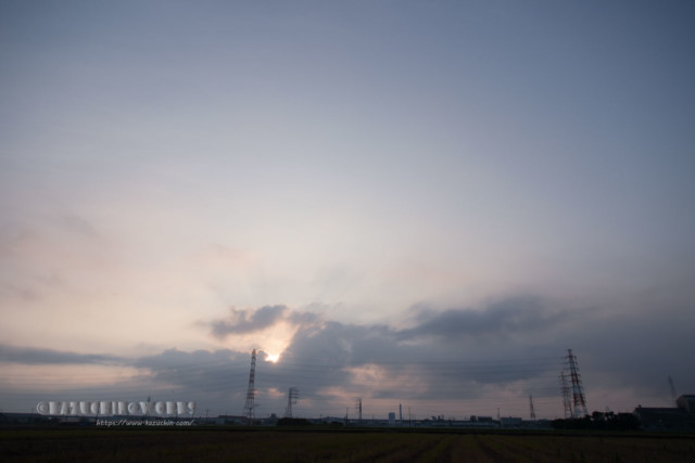 2020年08月02日の朝 その17 2020年08月02日の朝 その17