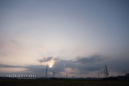 2020年08月02日の朝 その17 2020年08月02日の朝 その17