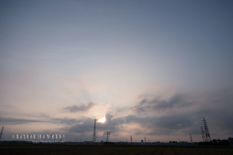 2020年08月02日の朝 その18 2020年08月02日の朝 その18