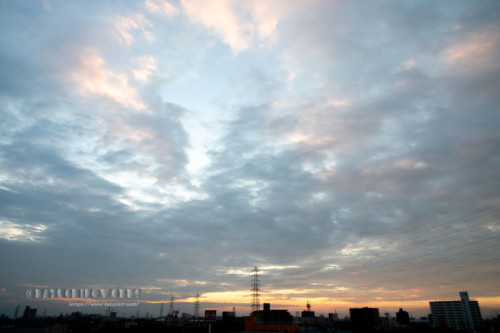 2020年08月10日の朝 その01 2020年08月10日の朝 その01