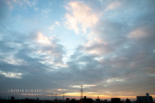 2020年08月10日の朝 その03 2020年08月10日の朝 その03