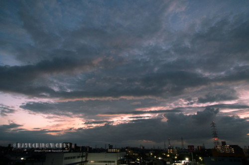 2020年08月12日の朝 2020年08月12日の朝