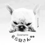 Soramame (そら豆🇯🇵)